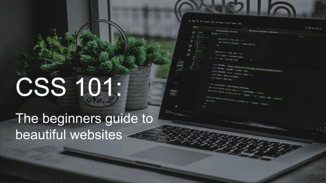 CSS 101