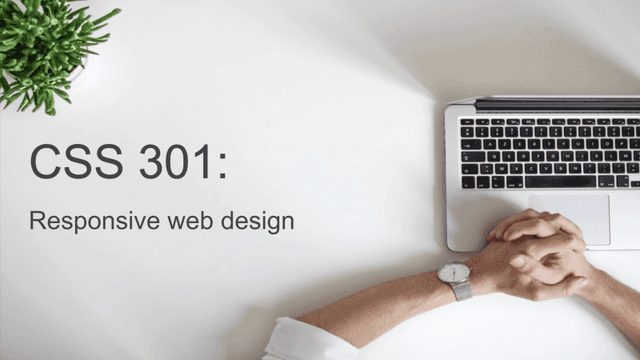 CSS 301