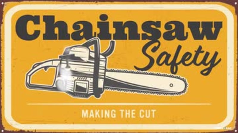Chainsaw Safety: Making the Cut
